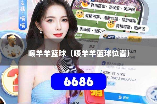 暖羊羊篮球（暖羊羊篮球位置）